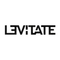 l3vitate logo - digital marketing web design social media management AI automation